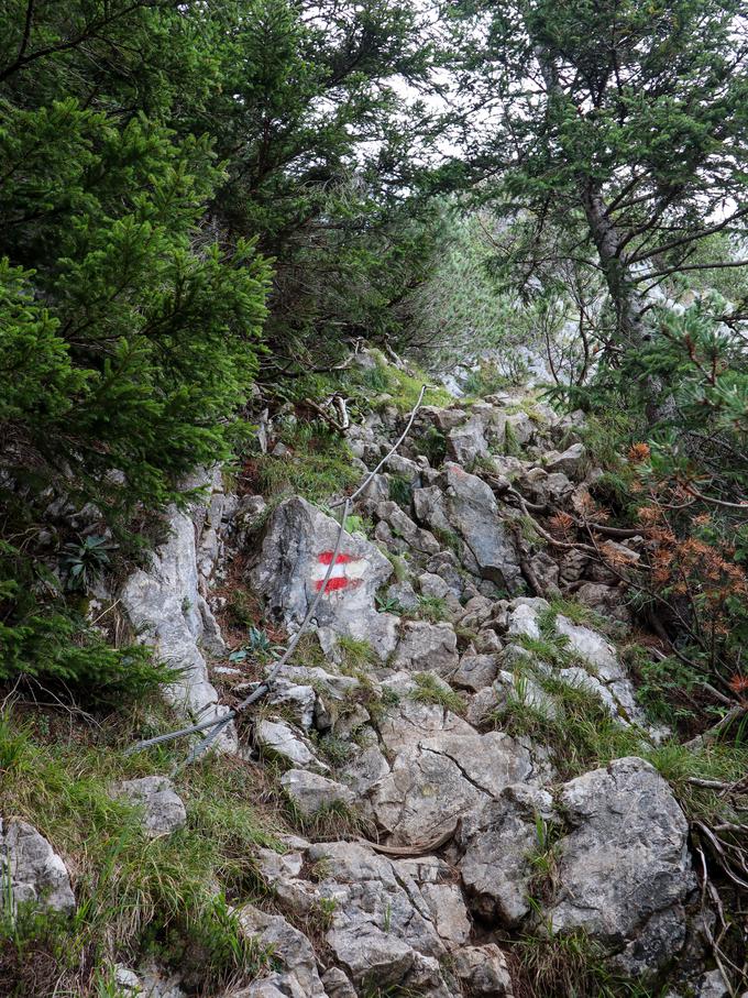 Na dveh delih sta strmejša odseka zavarovana z jeklenico. | Foto: Matej Podgoršek