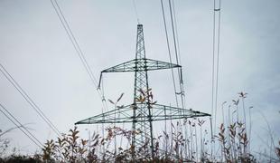 Elektrodistributerji za ustavno presojo energetskega zakona 