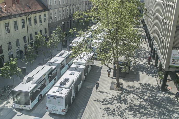 mestni avtobus | Foto Bojan Puhek