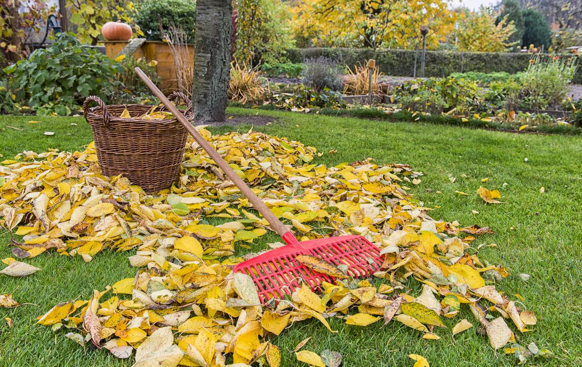 jesensko listje na vrtu | Foto Thinkstock