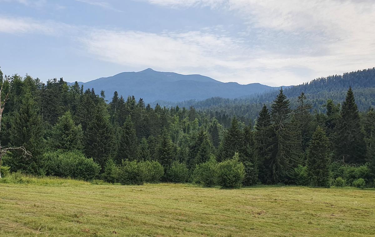 Snežnik