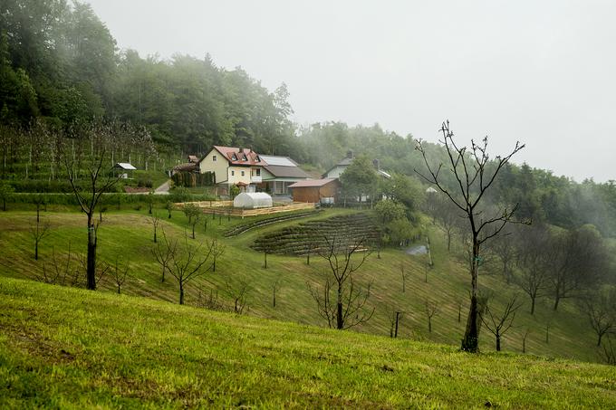 Da je po 20 letih nastalo to, kar imajo danes, je bilo treba ogromno truda in živcev, pravi Ivan. "Treba pa je bilo tudi veliko tvegati. Tako kot na ruleti je enostavno treba sprejeti odločitev in narediti in o tem ne razmišljati," še doda Ivan. | Foto: Ana Kovač