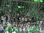 Dallas Stars NHL