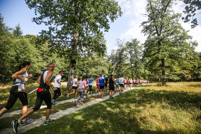 Triglav tek bo vrata v protokolarni park Brdo pri Kranju znova odprl 11. 9. 2021. | Foto: 