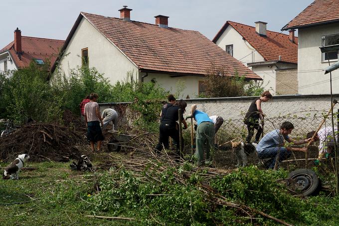 V skupinskih akcijah je nastal skupnostni vrt Čolnarska, ki je sčasoma presegel izmenjave znanj o sajenju in tako postal tudi priložnost za oblikovanje povezane skupnosti, temelječe na samoorganiziranju, sodelovanju in širši družbeni aktivnosti. | Foto: 