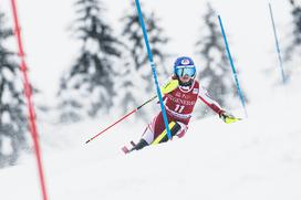 Zlata lisica, slalom