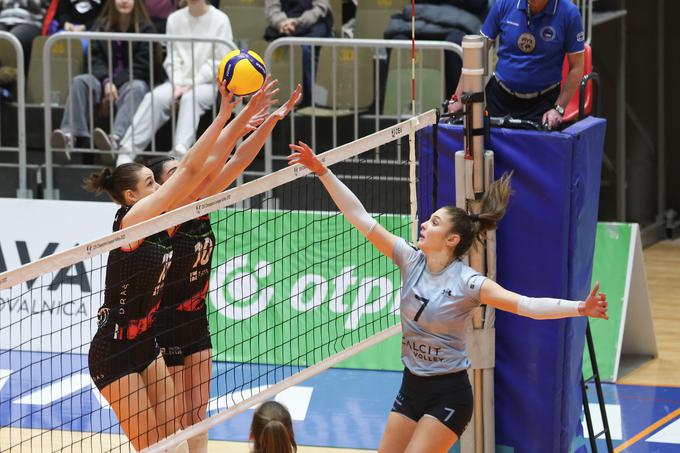 Otp banka branik maribor : calcit volley | Foto: OTP Banka Branik