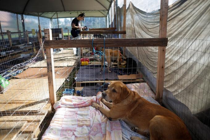 Brazilija, poplave, Rio Grande do Sul | Foto: Reuters