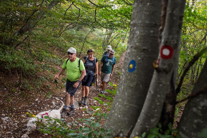 Na poti se izmenjujejo Knafelčeva markacija, ki označuje Slovensko planinsko pot, in modro-rumena krožna markacija, ki je znak Poti kurirjev in vezistov ali pa gozdne učne poti. | Foto: Klemen Korenjak