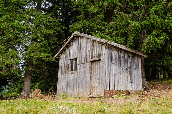 lopa | Fotografija je simbolična. | Foto Shutterstock