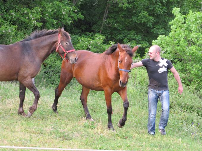 S konji v domačih krajih | Foto: Osebni arhiv