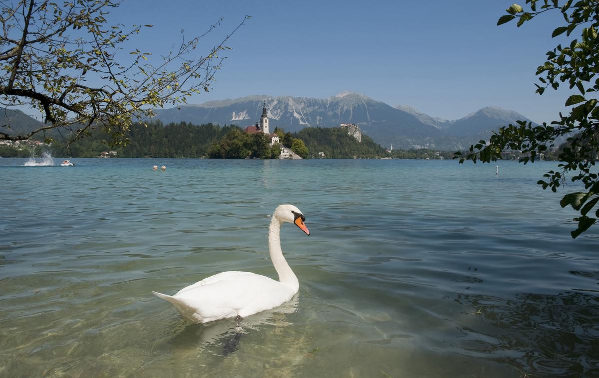 bled | Foto Reuters