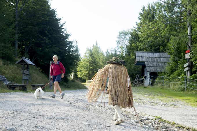 Naslavnejši pastir na Veliki planini  | Foto: 