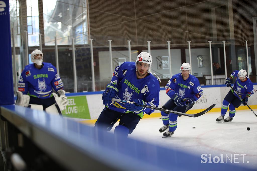 Slovenija - Italija, Bled, slovenska hokejska reprezentanca