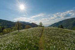 Čezmejno sodelovanje na zahodnem delu Karavank obogatilo turistično ponudbo