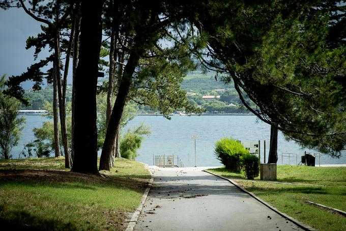 Debeli rtič zaznamujejo številne naravne vrednote, zaščitene tudi kot naravni spomeniki. Ta del slovenske obale z milim podnebjem je pomemben tudi za morsko življenje.  | Foto: Ana Kovač