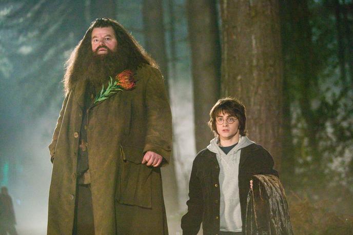 Hagrid, Harry Potter | Oboževalci Harryja Potterja se lahko odslej v izolaciji kratkočasite s posebno spletno stranjo. | Foto IMDb