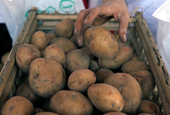 Svoje odkritje na rastlinah tobaka bodo znanstveniki zdaj prilagodili za večje izkoristke soje, fižola, riža, krompirja, paradižnika in jajčevcev. | Foto: Reuters