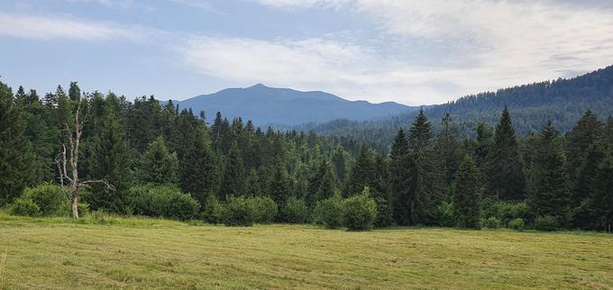 Pogled proti Snežniku. | Foto: 