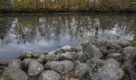 Iz ribnika pri Domžalah potegnili moško truplo