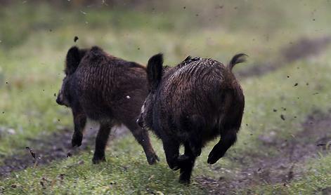 Ministrstvo svari: tveganje za to bolezen je veliko