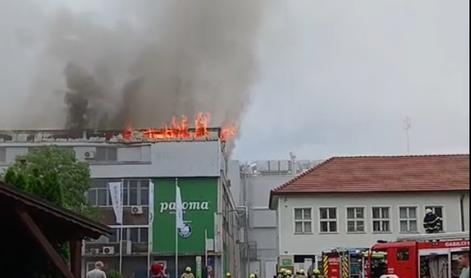 V požaru v tovarni Paloma za pet milijonov evrov škode #video