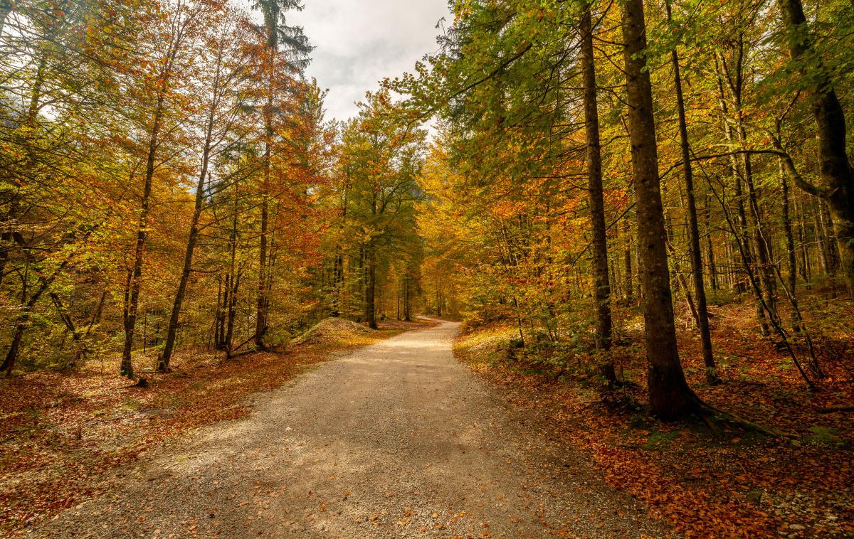 Dolina Vrata, foto Aleš Krivec_1200 | Foto Aleš Krivec / Turizem Kranjska Gora