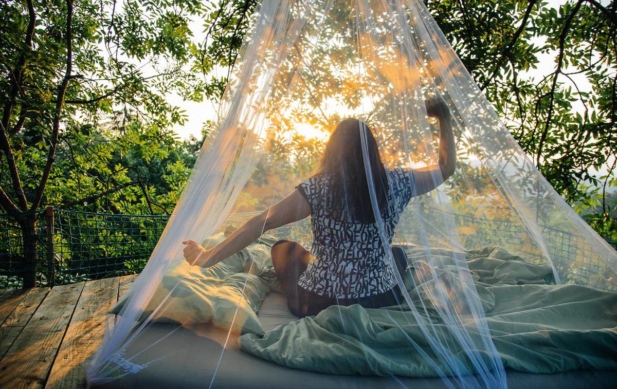 bivanje v krošnjah | Od raznolikih glamping prenočišč do visečih mrež in drevesnih hišic v krošnjah, zaporniških celic in "vesoljskih" kapsul. Slovenija skriva marsikaj, od najbolj preprostih do najbolj luksuznih inovativnih možnosti bivanja. | Foto bivanjevkrosnjah.si