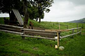 Turistična in eko kmetija Pri Baronu