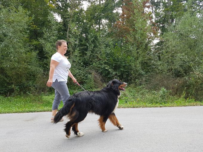 S psičko Luno je hodila na dolge sprehode. | Foto: Metka Prezelj