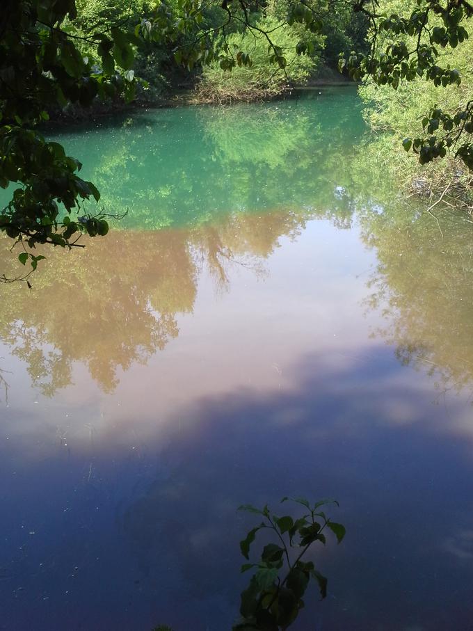 Onesnaženje po požaru. Del ga je zares steklo po reki naprej, del pa je zagotovo še globoko pod prvo plastjo usedlin, meni Vladimir Mikec. | Foto: osebni arhiv/Lana Kokl