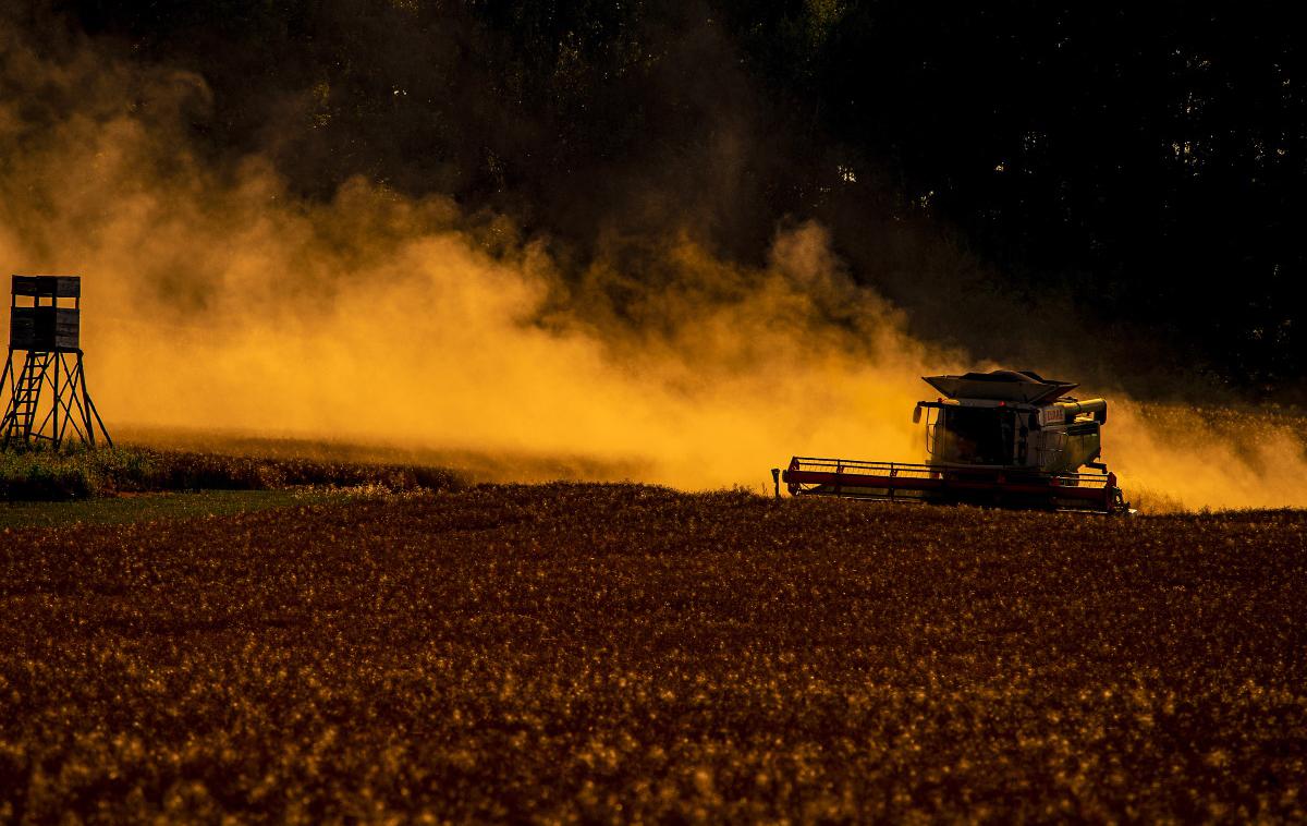 Kombajn, njiva, pšenica | Letošnja letina žit je po ocenah strokovnjakov veliko razočaranje med slovenskimi kmeti, ki se spopadajo z izzivi tako zaradi naravnih nesreč kot tudi zaradi nestabilnih tržnih razmer. Fotografija je simbolična. | Foto Guliver Image