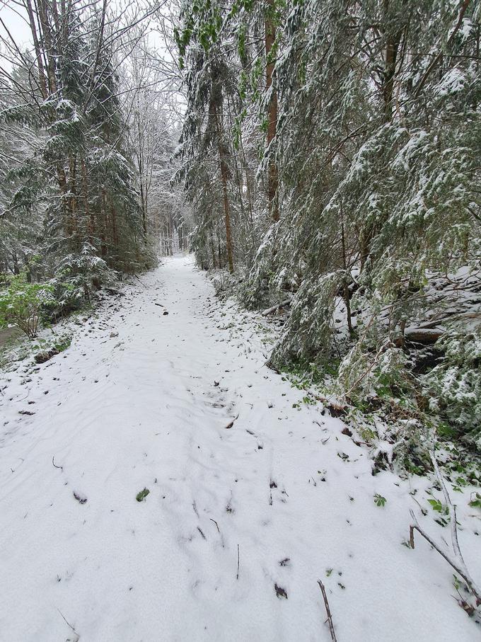 Jezersko | Foto: David Florjančič / Meteoinfo Slovenija