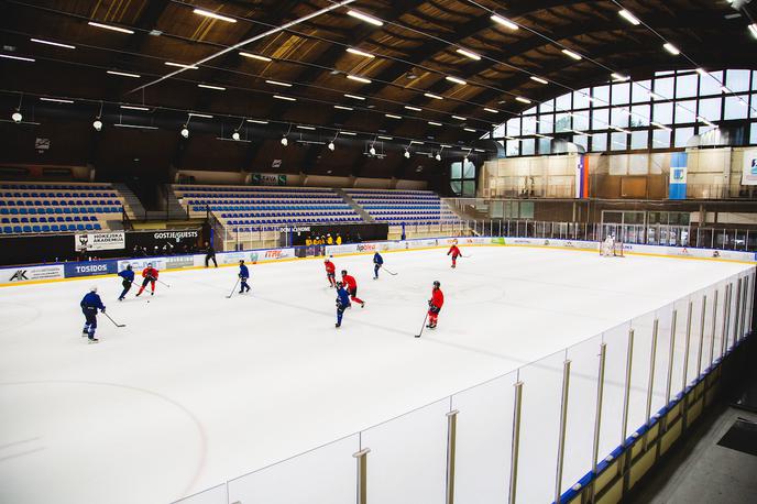 akademija Anže Kopitar Tomaž Razingar | Anže Kopitar in Tomaž Razingar na Bledu te dni gostita hokejsko akademijo. V soboto sta imela prav posebne goste. | Foto Luka Vovk/Sportida