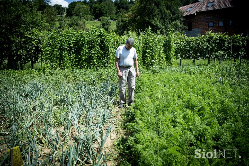 Turistična ekološka kmetija Čemas Vinica Zilje Bela Krajina Kolpa