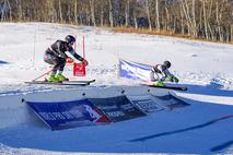 World Ski Pro Tour