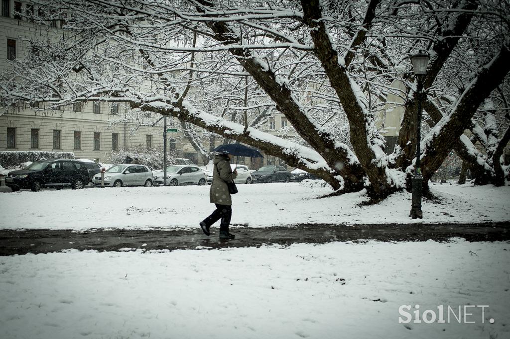 Sneženje v Ljubljani