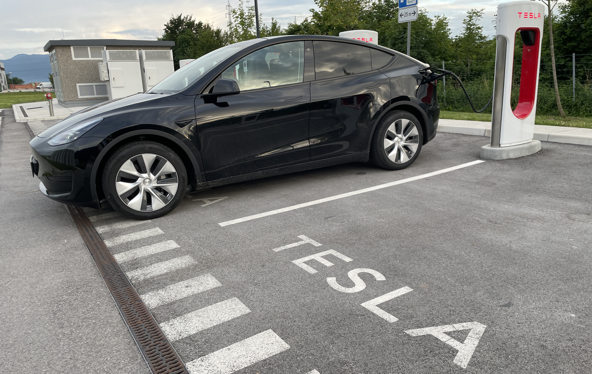 Tesla model Y RWD | Foto Gregor Pavšič