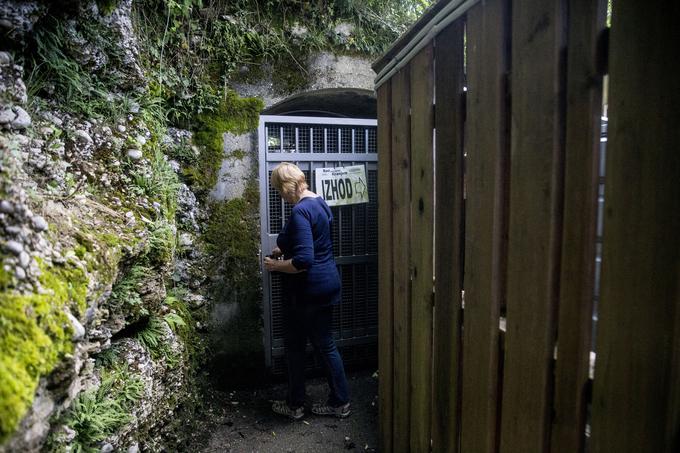 Kot je povedala kranjska vodička Olga Pavlin, je nekdanje mestno zaklonišče ponudilo zavetje med štiri tisoč in šest tisoč ljudmi. | Foto: 