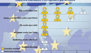 Anketa: Na evropskih volitvah bo krepko slavila slovenska desnica