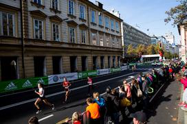 LJ maraton šolski teki