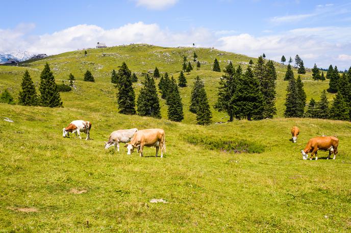 Izbrana kakovost Slovenija