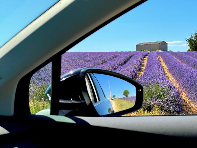 Mont Ventoux je kot gora, ki znatno vpliva na lokalno podnebje in zagotavlja več padavin ter s tem vlage, tudi ključna pri razvoju sivke v Provansi.  | Foto: Gregor Pavšič