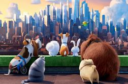 Skrivno življenje hišnih ljubljenčkov (The Secret Life of Pets)