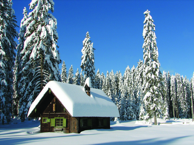 Pokljuka | Foto: Simon Kržič / Turizem Bohinj (www.slovenia.info)