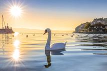 Ohrid, Ohridsko jezero