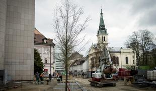 Tako napreduje Gosposvetska: začeli so zasajati drevesa #foto