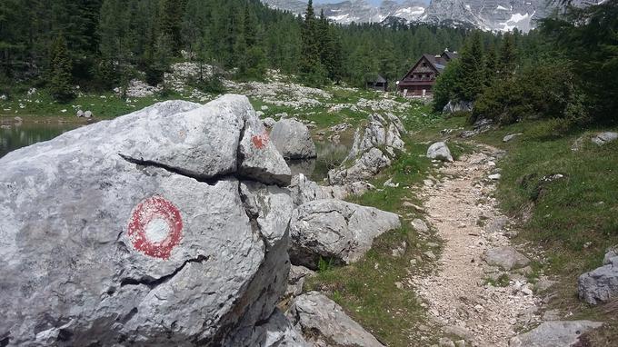 Sodelujoči v akciji Izbiramo najlepše planinske poti so za naj planinsko pot izbrali krožno pot Planina Blato–Planina pri Jezeru–Planina Dedno polje–Vrata (pod Zelnarico)–Prehodavci–Dvojno jezero–Štapce– Ovčarija–Planina pri Jezeru–Planina Blato.  | Foto: Miro Kregar