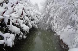 Slovenijo zajelo obilno sneženje, razmere se umirjajo #foto #video