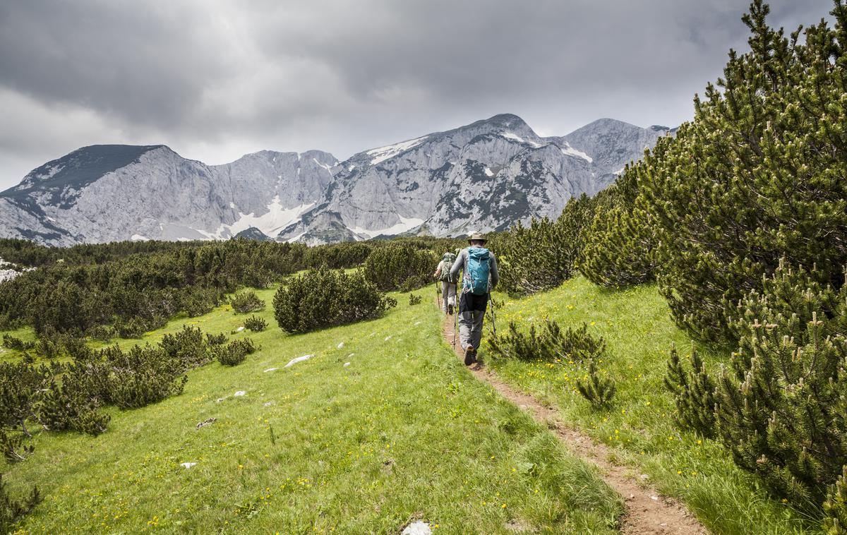 Sutjeska, BiH | Foto Thinkstock